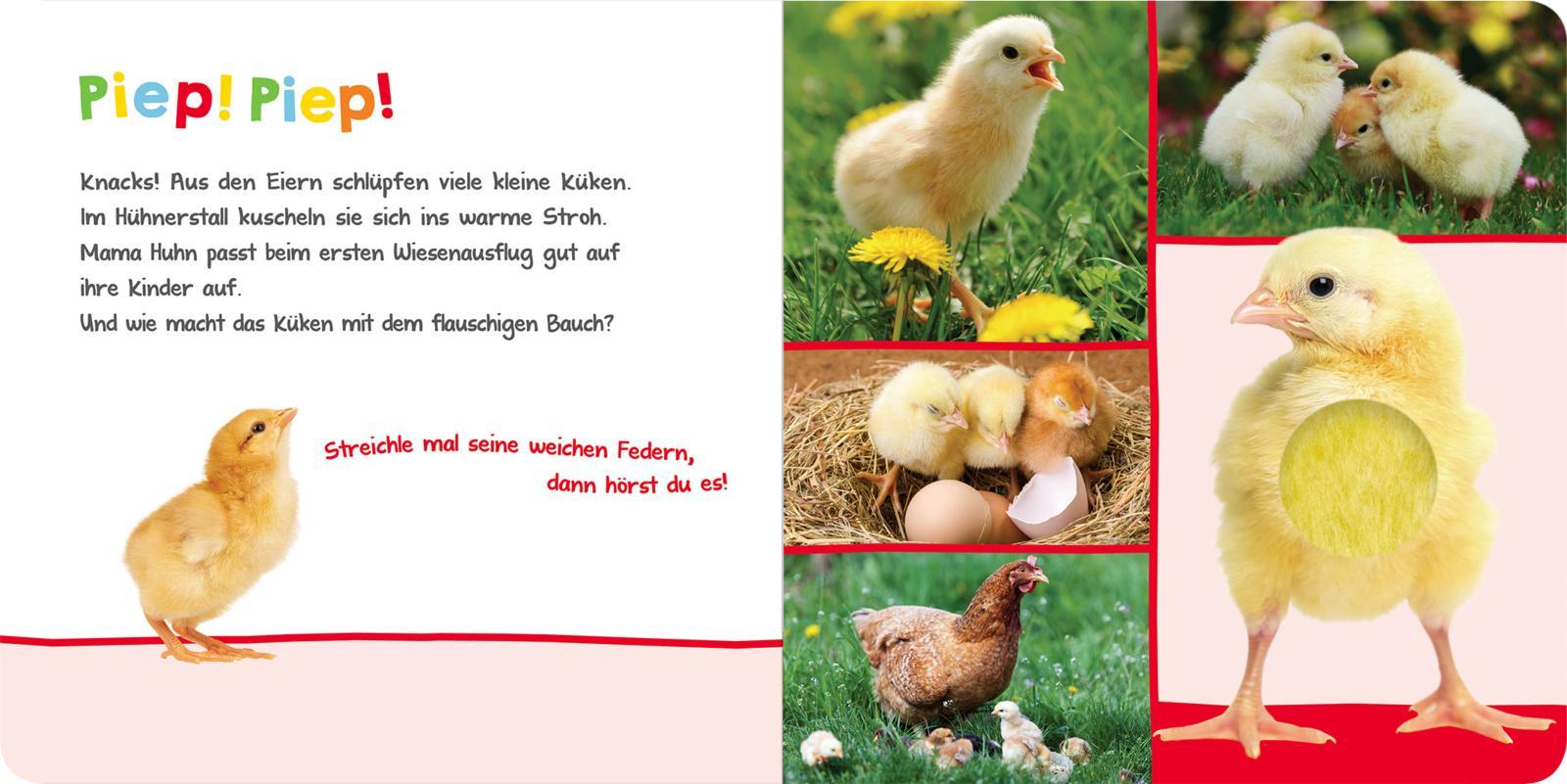 Bild: 9783845842905 | Hör mal rein, wer kann das sein? - Im Frühling | Buch | 12 S. | 2021