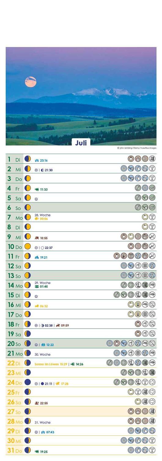 Bild: 4251732341541 | Mondkalender 2025 - Streifen-Kalender 14,85x42 cm - Wandplaner -...