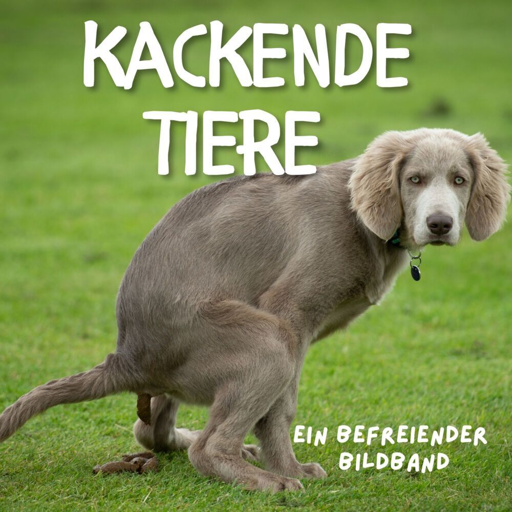 Cover: 9783750506978 | Kackende Tiere | Ein befreiender Bildband | Tim Fröhlich | Taschenbuch