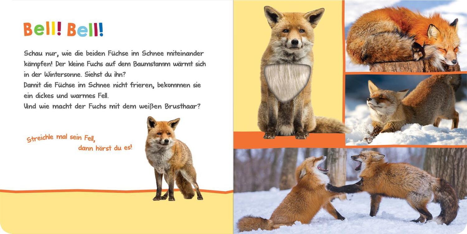 Bild: 9783845844961 | Hör mal rein, wer kann das sein? - Winter im Wald | Buch | 12 S.