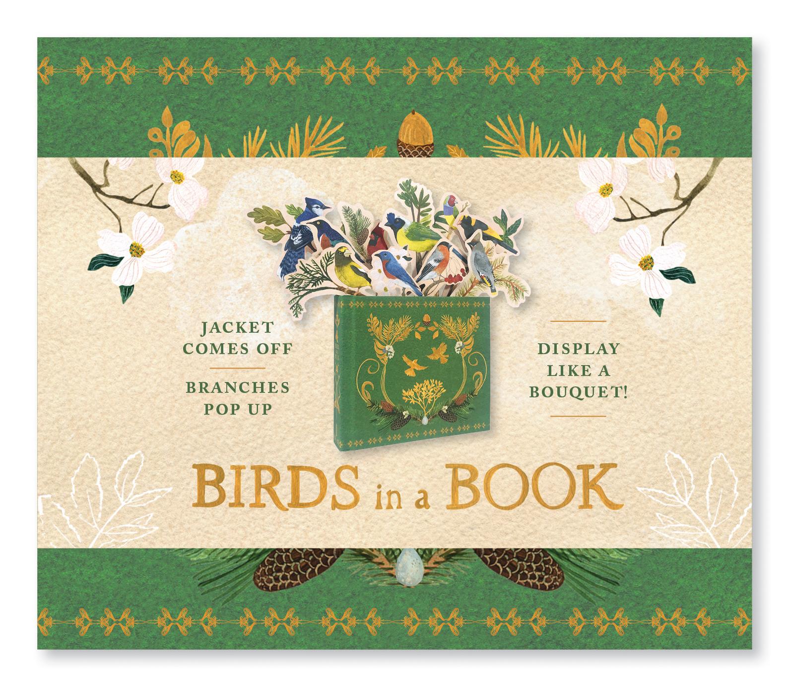 Cover: 9781419733932 | Birds in a Book (Uplifting Editions) | Rachel Grant | Buch | Gebunden