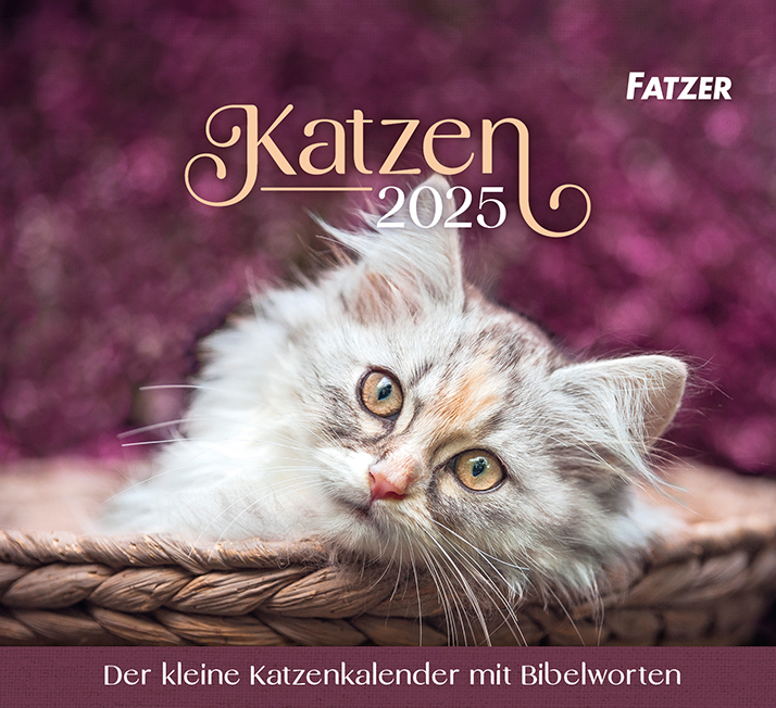 Cover: 9783866037922 | Katzen 2025 | Kalender | 13 S. | Deutsch | 2025 | EAN 9783866037922