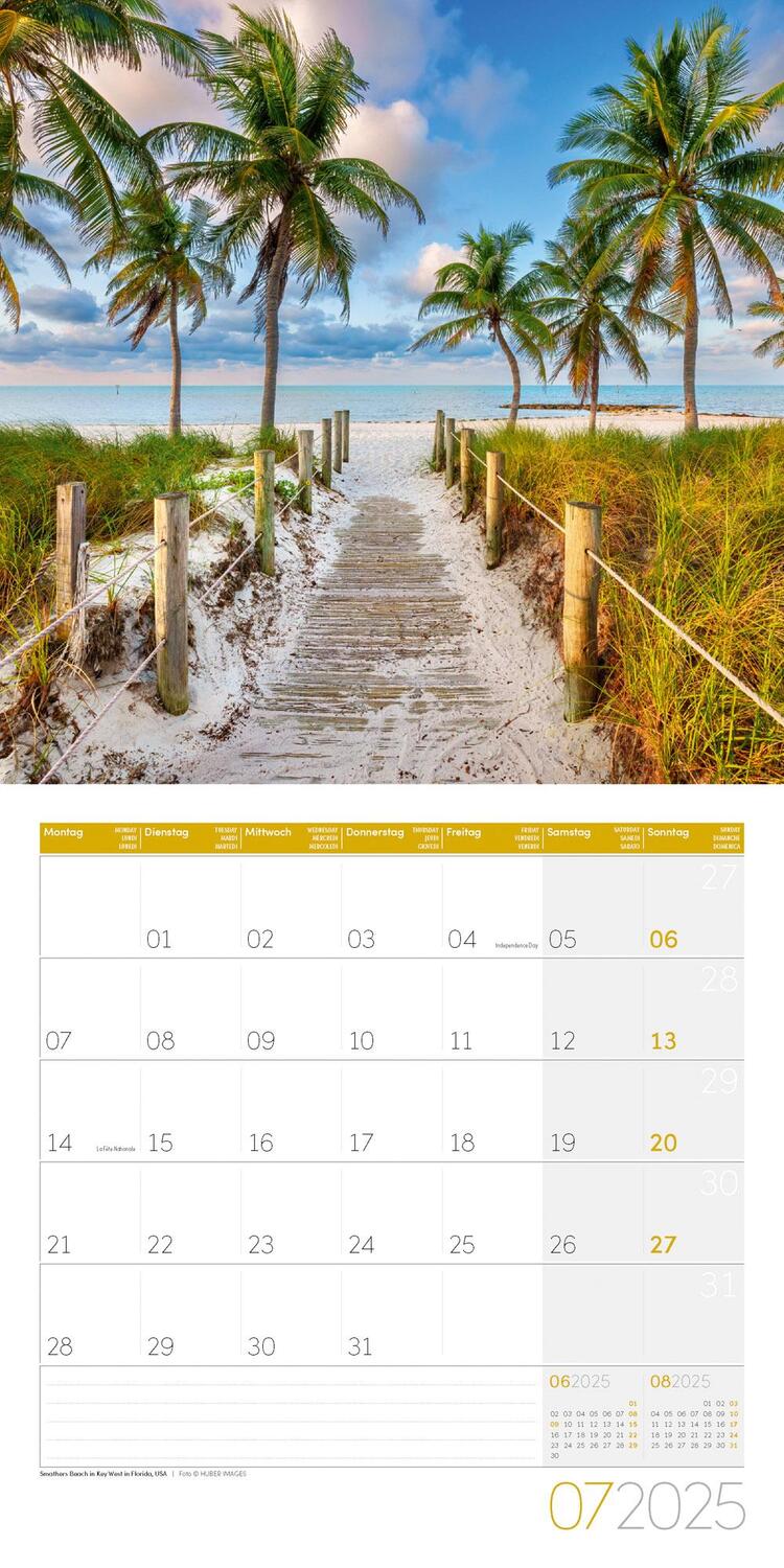 Bild: 9783838445045 | Traumpfade Kalender 2025 - 30x30 | Ackermann Kunstverlag | Kalender