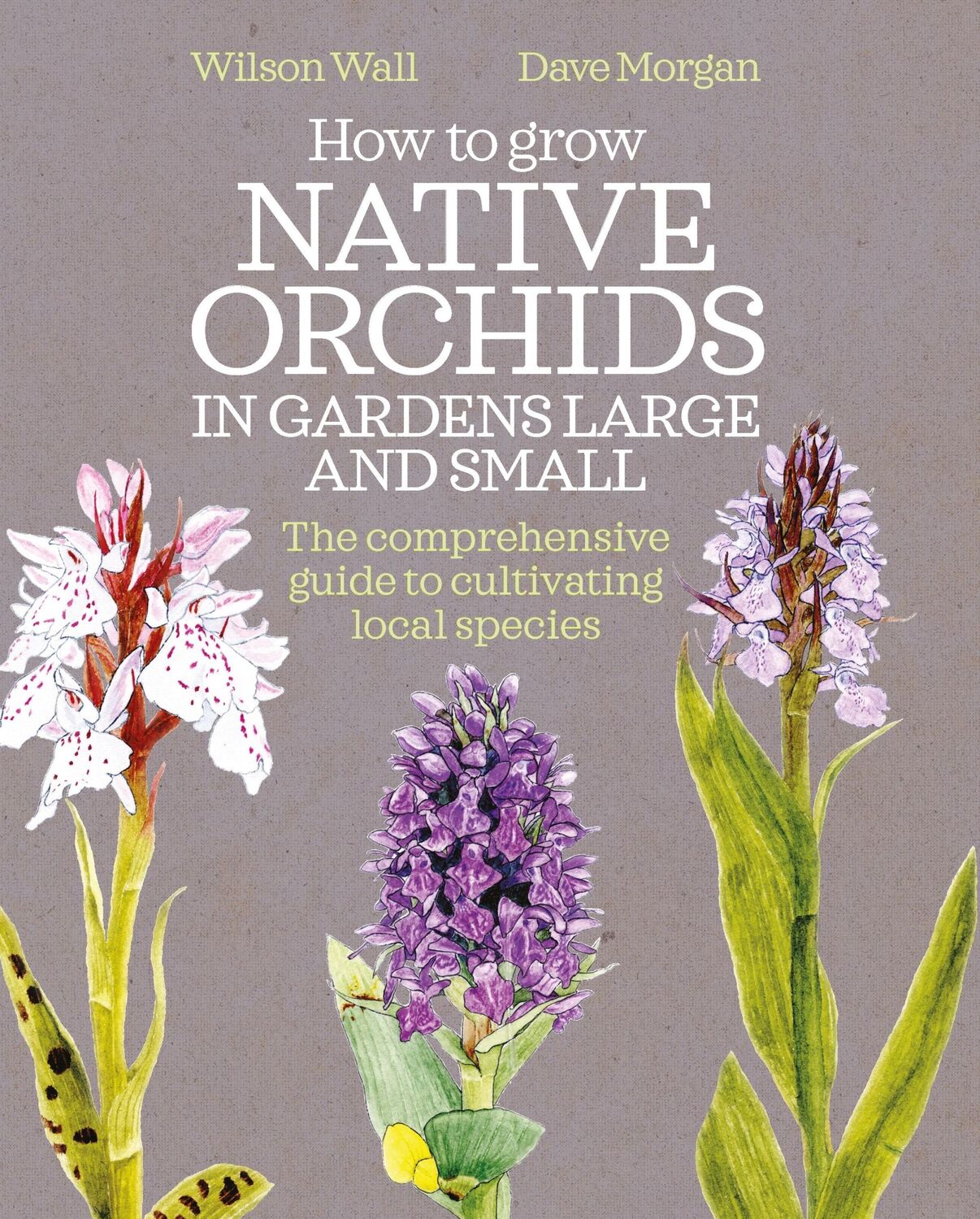 Cover: 9780857844606 | How to Grow Native Orchids in Gardens Large and Small | Morgan (u. a.)