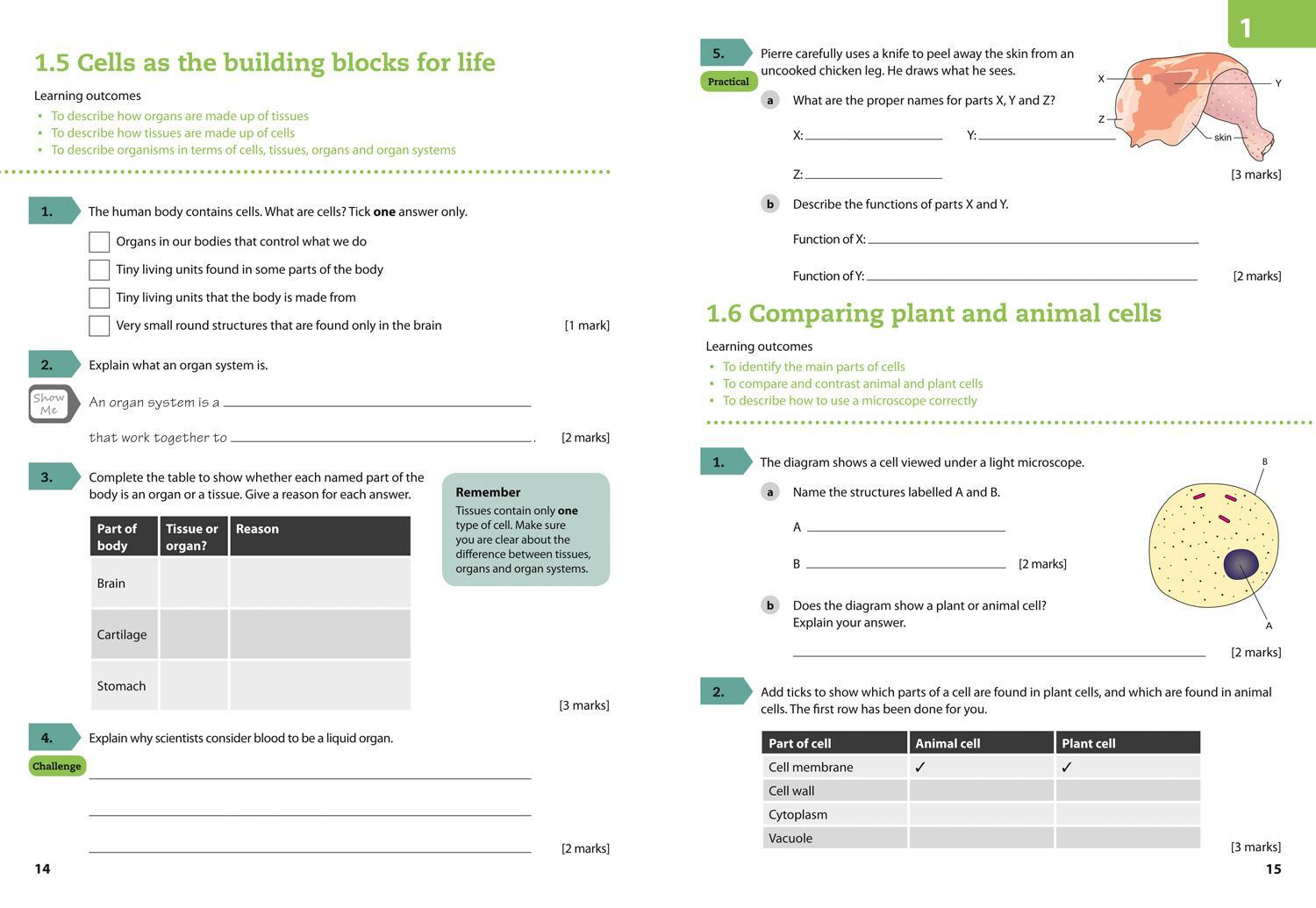 Bild: 9780008254711 | Lower Secondary Science Workbook: Stage 7 | Aidan Gill (u. a.) | Buch