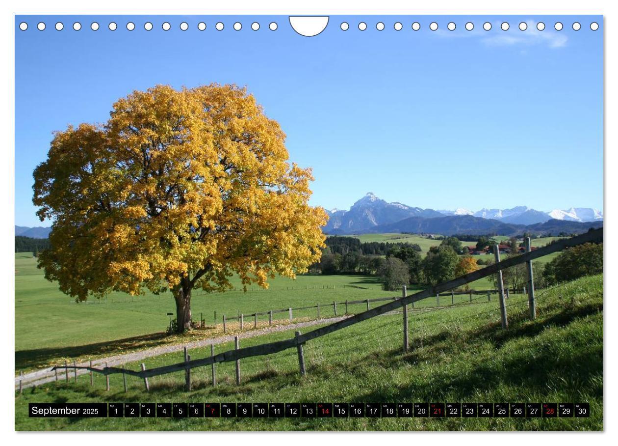 Bild: 9783435670819 | Ein Jahr im Allgäu (Wandkalender 2025 DIN A4 quer), CALVENDO...