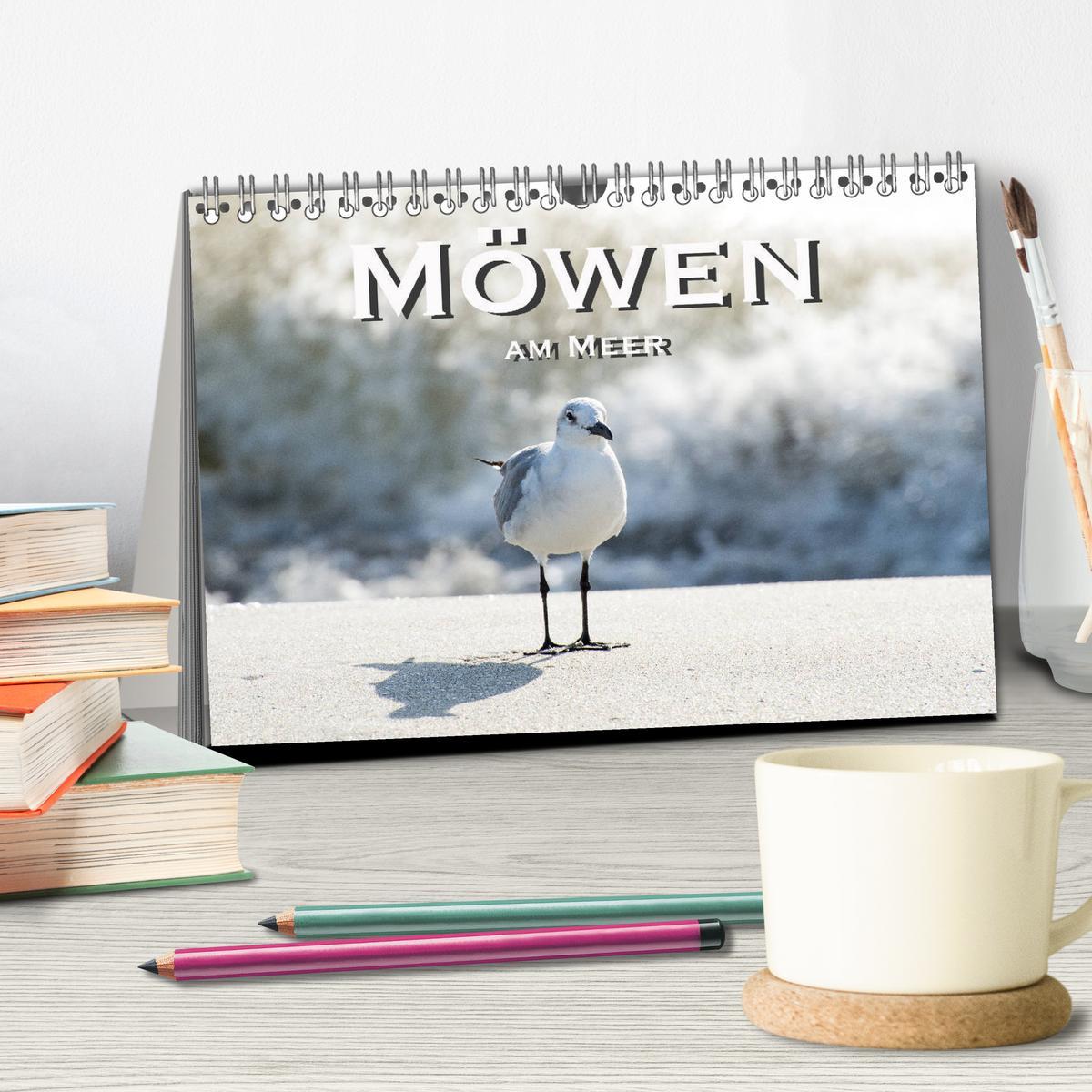 Bild: 9783435374564 | Möwen am Meer (Tischkalender 2025 DIN A5 quer), CALVENDO...