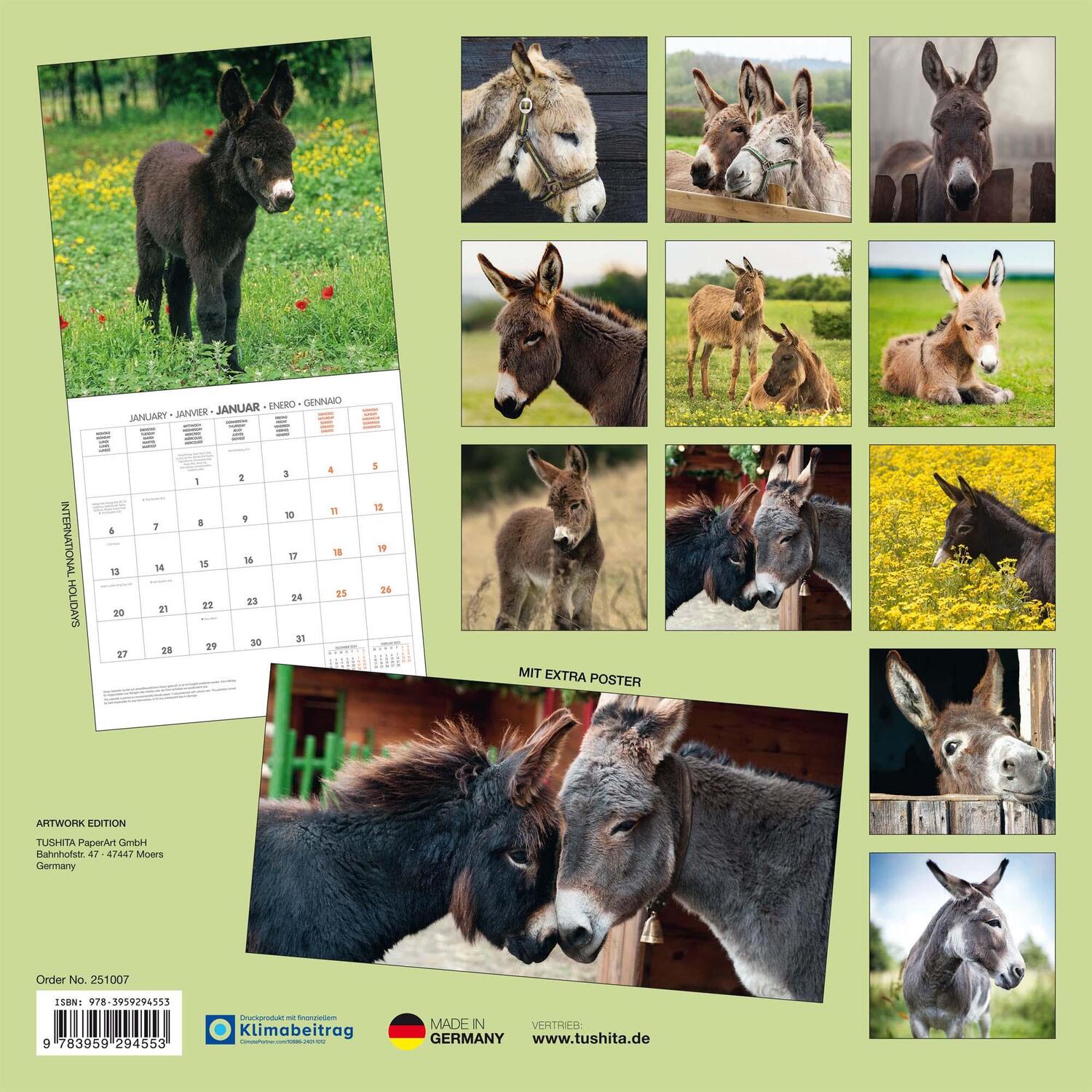 Rückseite: 9783959294553 | Esel 2025 | Kalender 2025 | Kalender | Artwork Edition | 28 S. | 2025