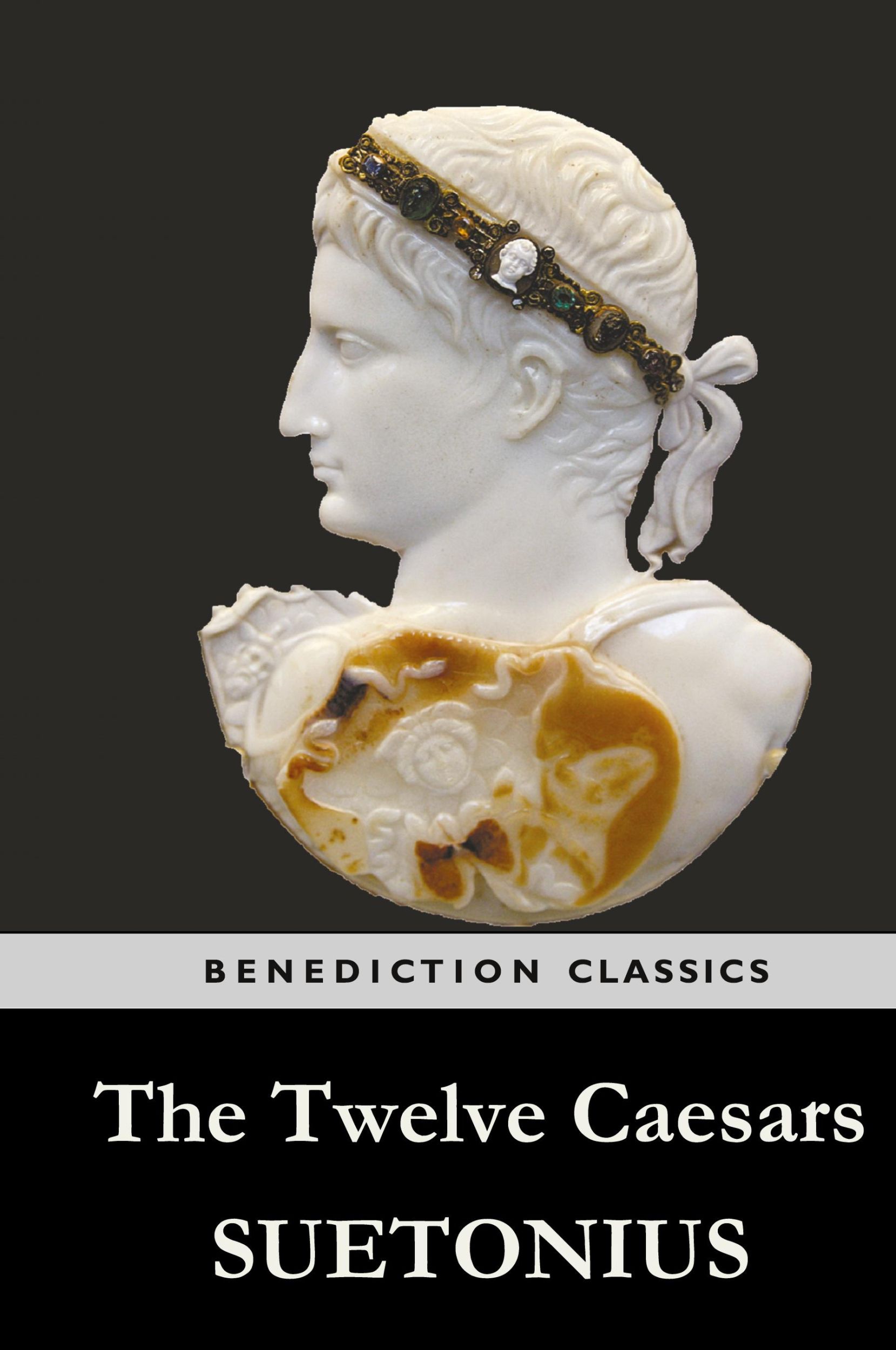 Cover: 9781781394427 | The Twelve Caesars | Suetonius | Buch | Englisch | 2014