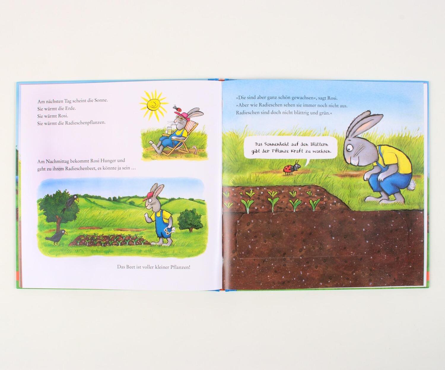 Bild: 9783407758873 | Rosi pflanzt Radieschen | Axel Scheffler | Buch | 16 S. | Deutsch