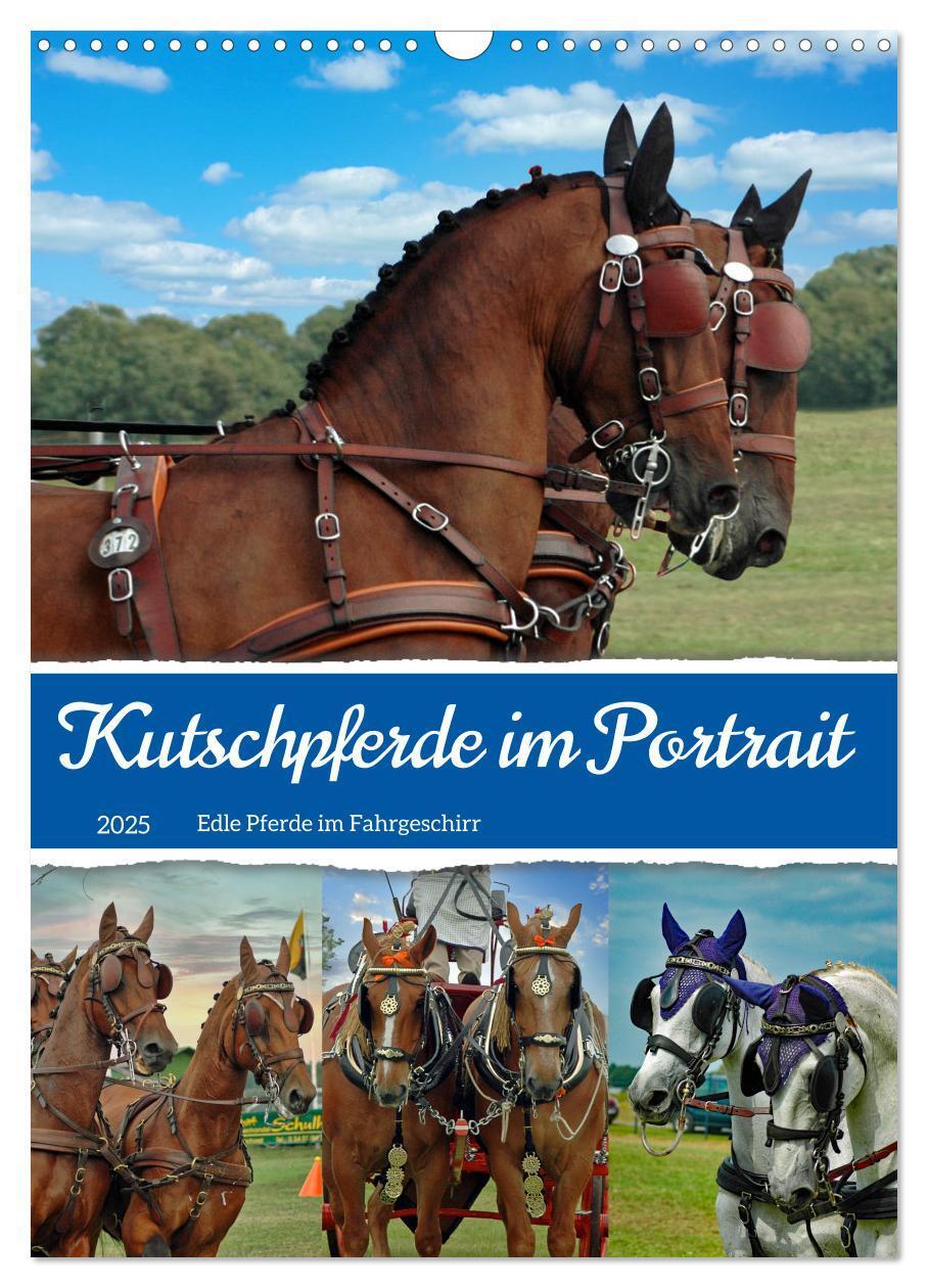 Cover: 9783435900954 | Kutschpferde im Portait (Wandkalender 2025 DIN A3 hoch), CALVENDO...