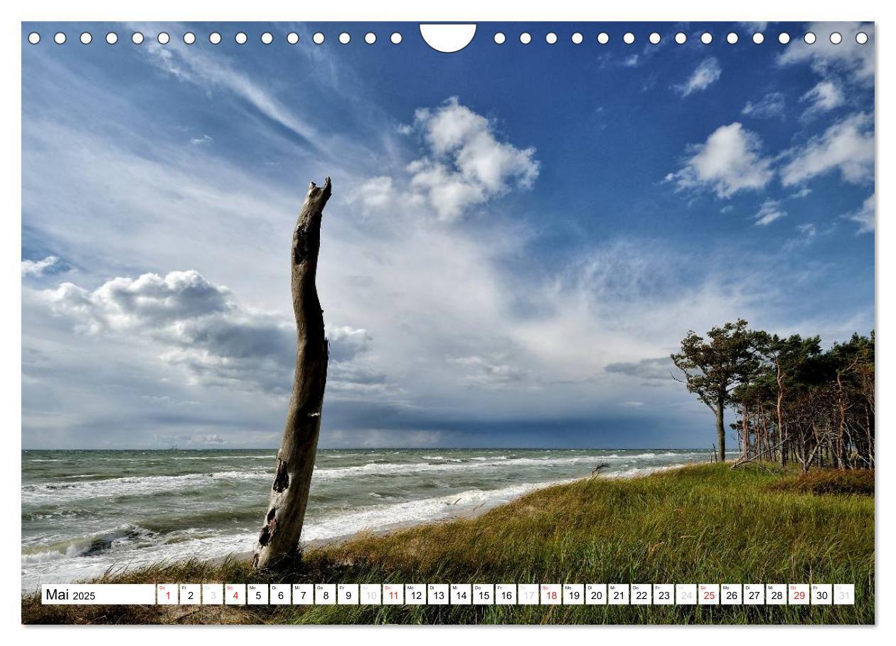 Bild: 9783435476152 | Naturschauspiel Darßer Weststrand (Wandkalender 2025 DIN A4 quer),...