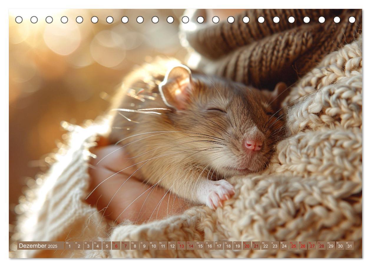 Bild: 9783383813948 | Mein bester Kumpel ist eine Ratte (Tischkalender 2025 DIN A5 quer),...