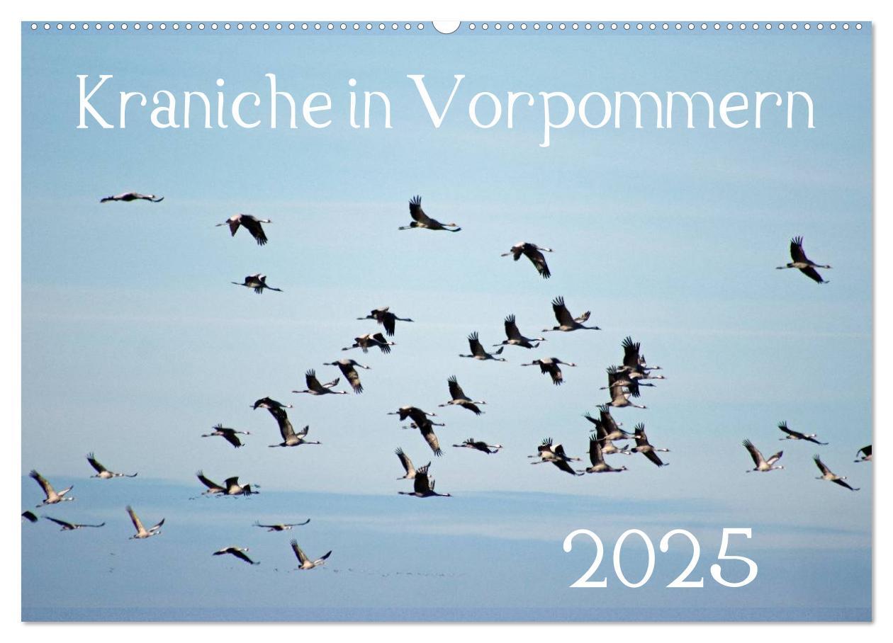 Cover: 9783435648917 | Kraniche in Vorpommern (Wandkalender 2025 DIN A2 quer), CALVENDO...