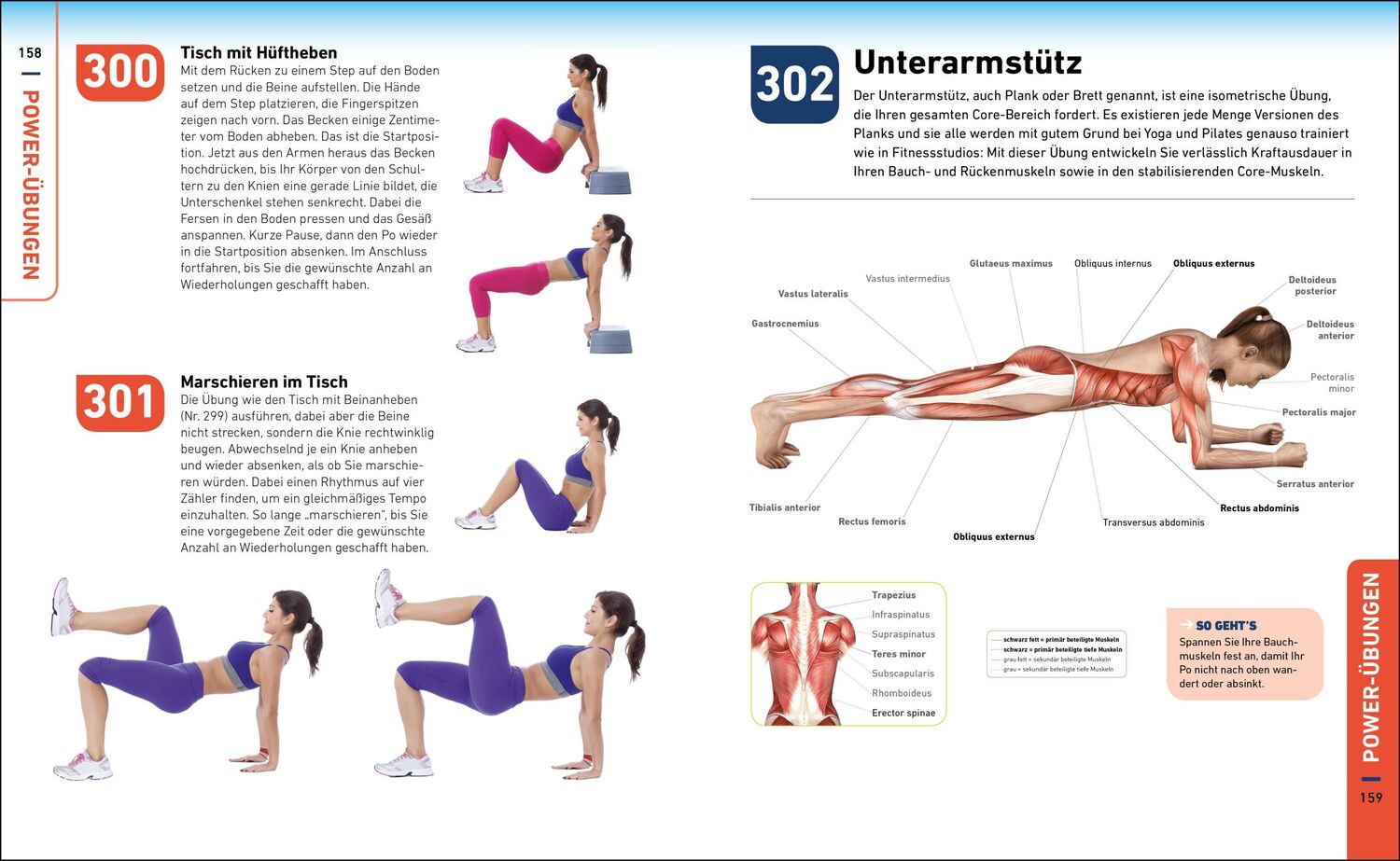 Bild: 9783517096292 | Die H.I.T.-Bibel | 500 hochintensive Übungen für Ihr Power-Workout