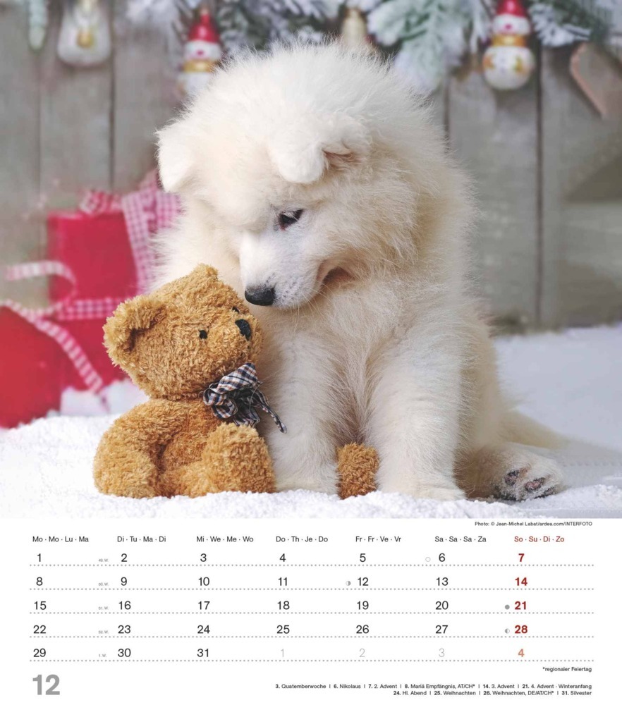 Bild: 4251732344405 | Alpha Edition - Niedliche Hundekinder 2025 Bildkalender, 30x40cm,...