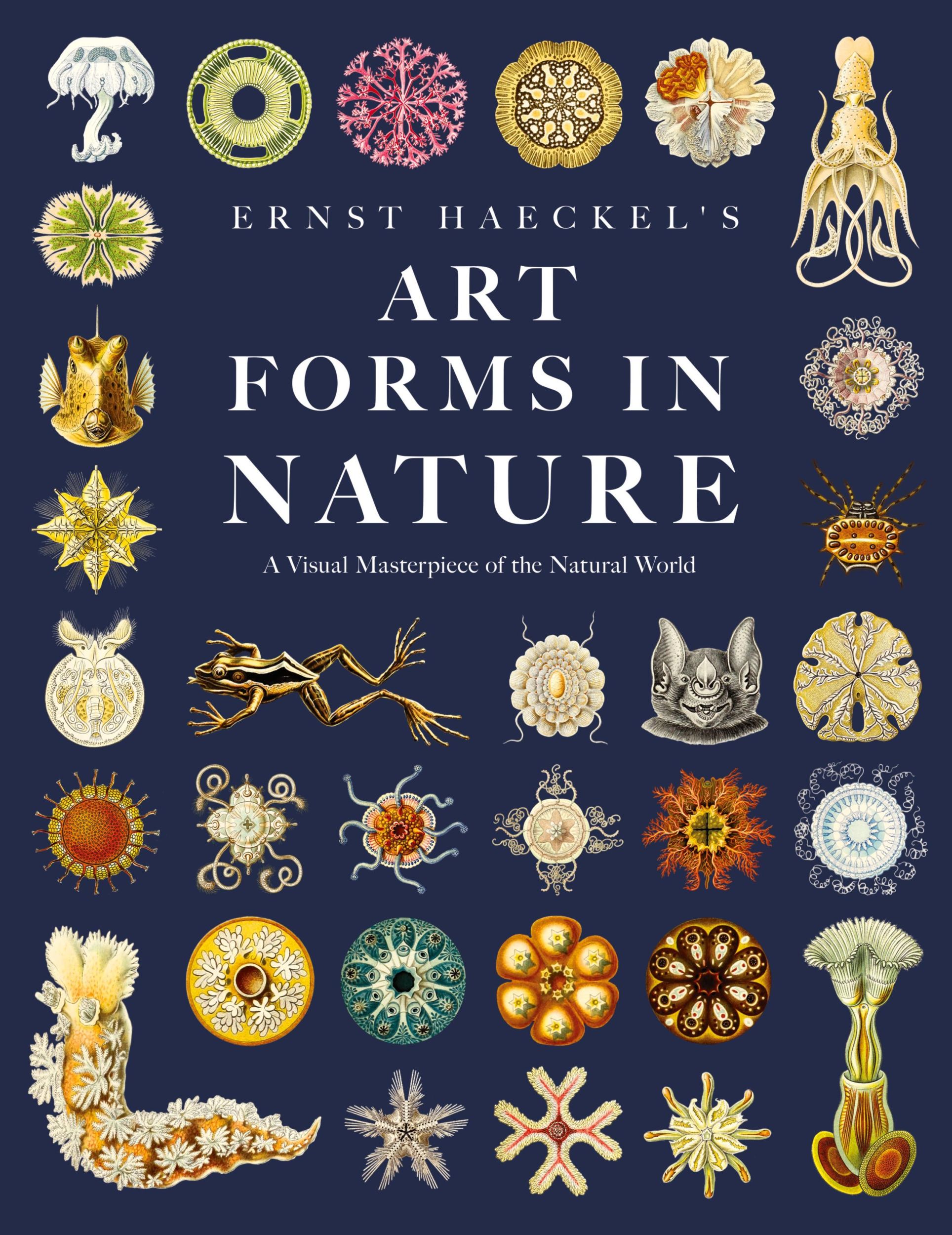 Cover: 9781528720809 | Ernst Haeckel's Art Forms in Nature | Ernst Haeckel | Taschenbuch