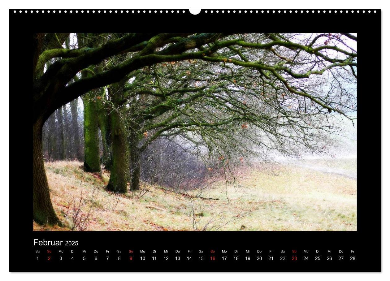 Bild: 9783435731398 | Landschaft Teufelsmoor / 2025 (Wandkalender 2025 DIN A2 quer),...