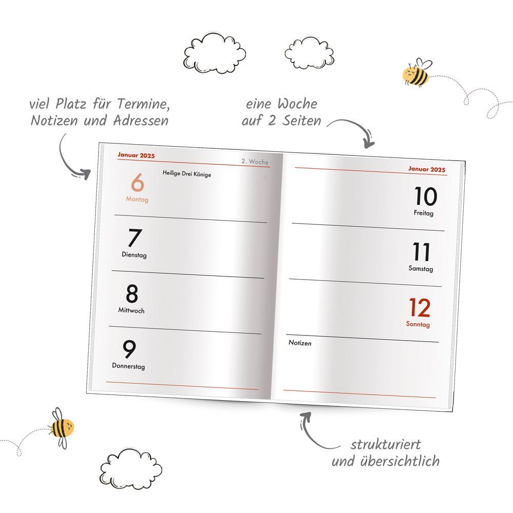 Bild: 4251901506900 | Trötsch Taschenkalender A7 Spruchreif 2025 No Problama | KG | Kalender