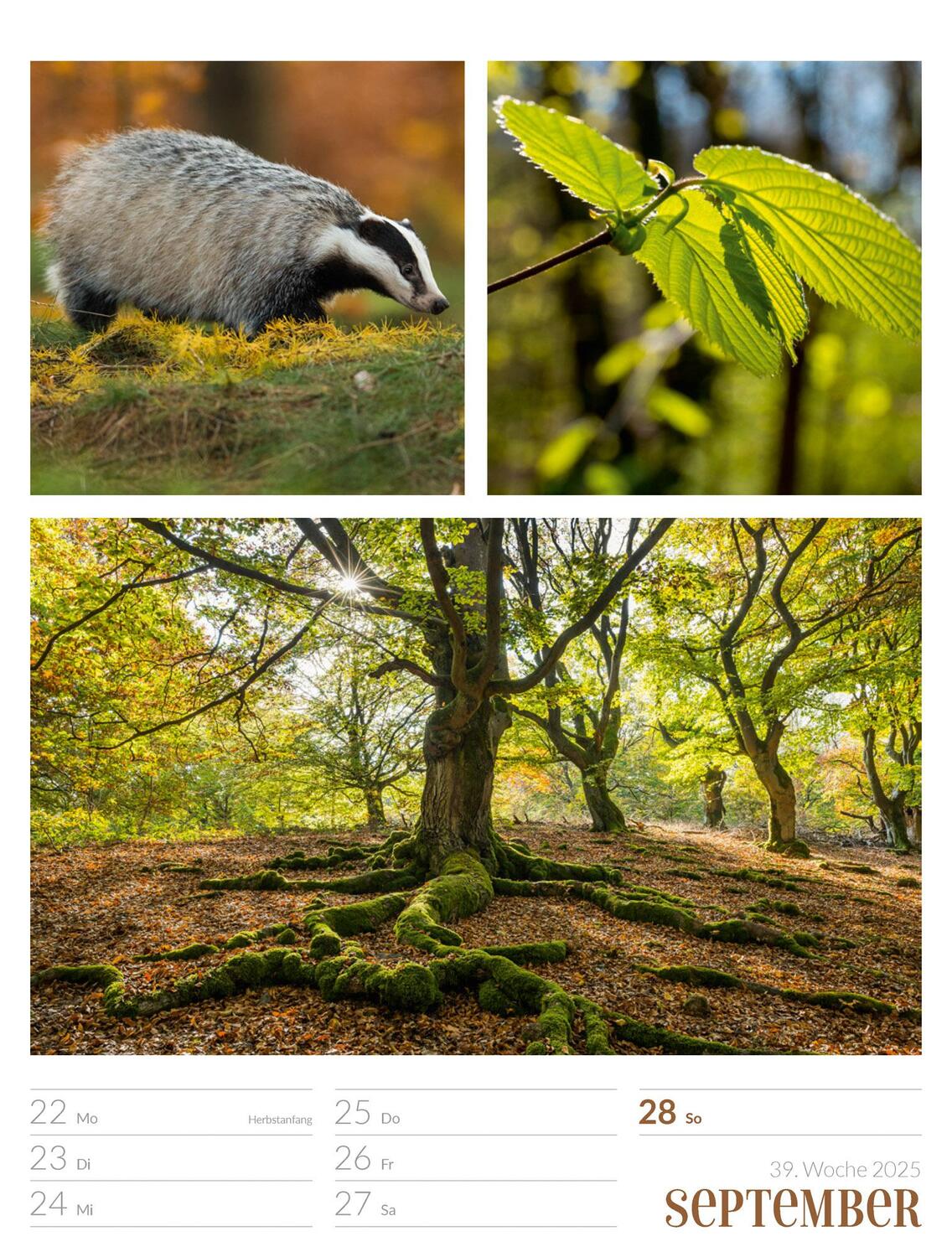 Bild: 9783838425818 | Farben der Natur - Wochenplaner Kalender 2025 | Ackermann Kunstverlag