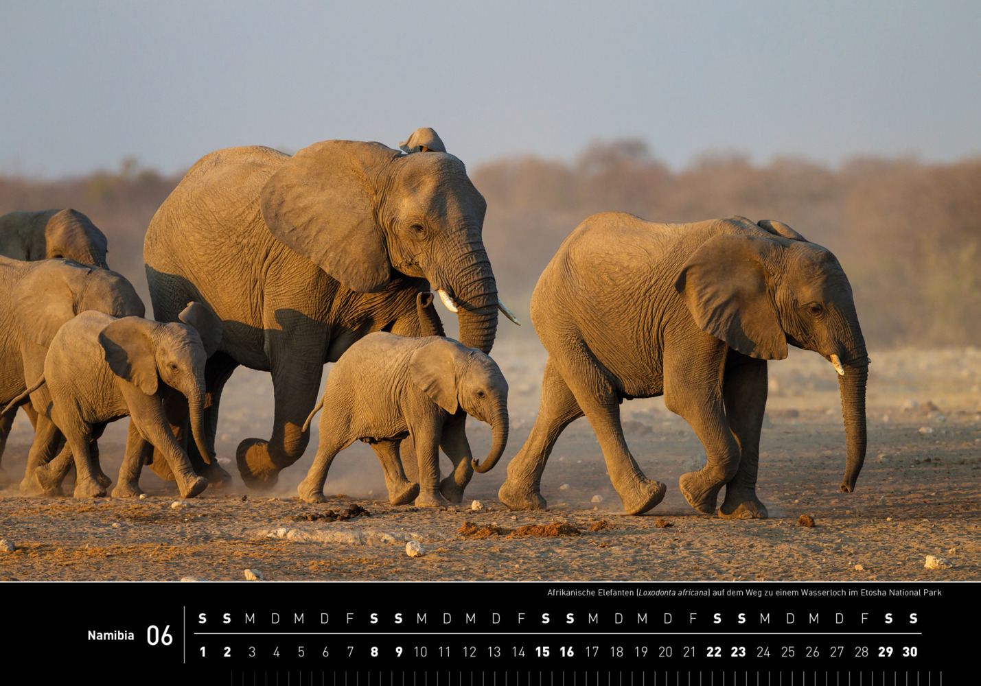 Bild: 9783968553481 | 360° Namibia Premiumkalender 2024 | Thomas Dreßler | Kalender | 2024