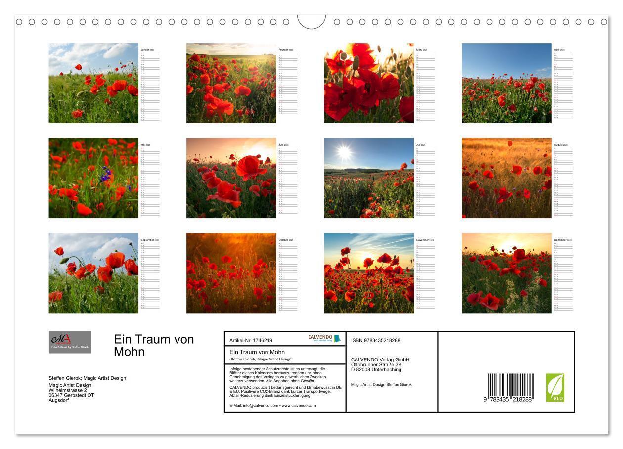 Bild: 9783435218288 | Ein Traum von Mohn (Wandkalender 2025 DIN A3 quer), CALVENDO...