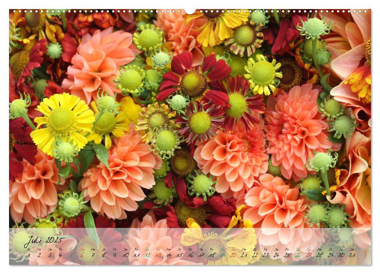 Bild: 9783435619177 | Blüten dicht an dicht (Wandkalender 2025 DIN A2 quer), CALVENDO...