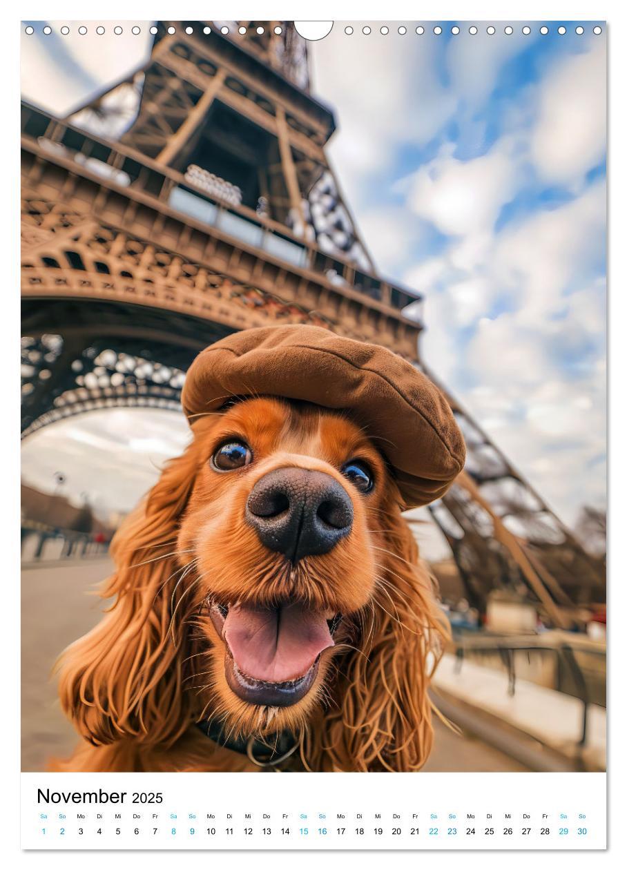 Bild: 9783383763458 | Cavalier King Charles Spaniel - Lustige Weltenreise im Selfie-Modus...