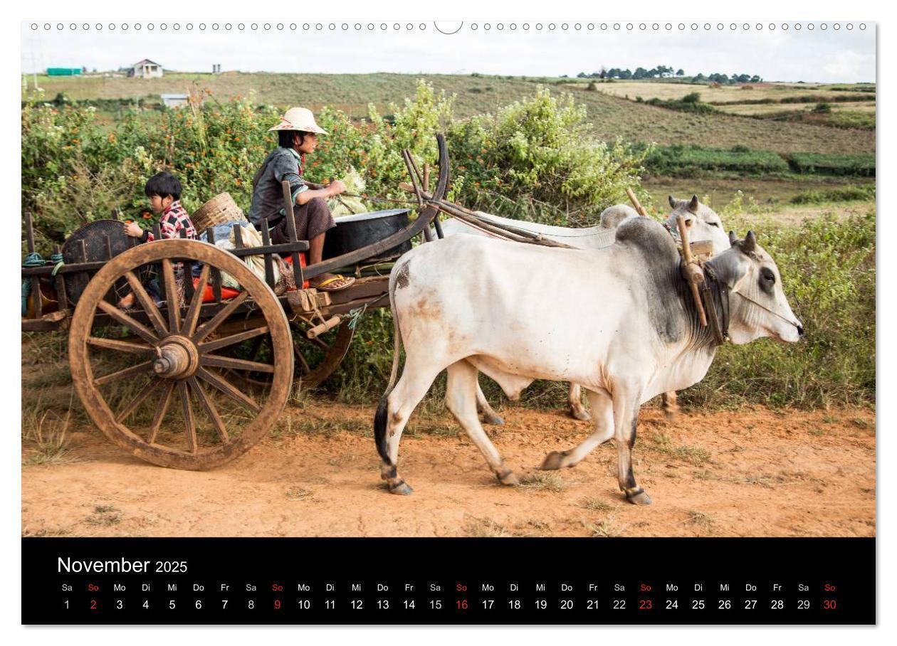 Bild: 9783435746644 | Myanmar 2025 (Wandkalender 2025 DIN A2 quer), CALVENDO Monatskalender