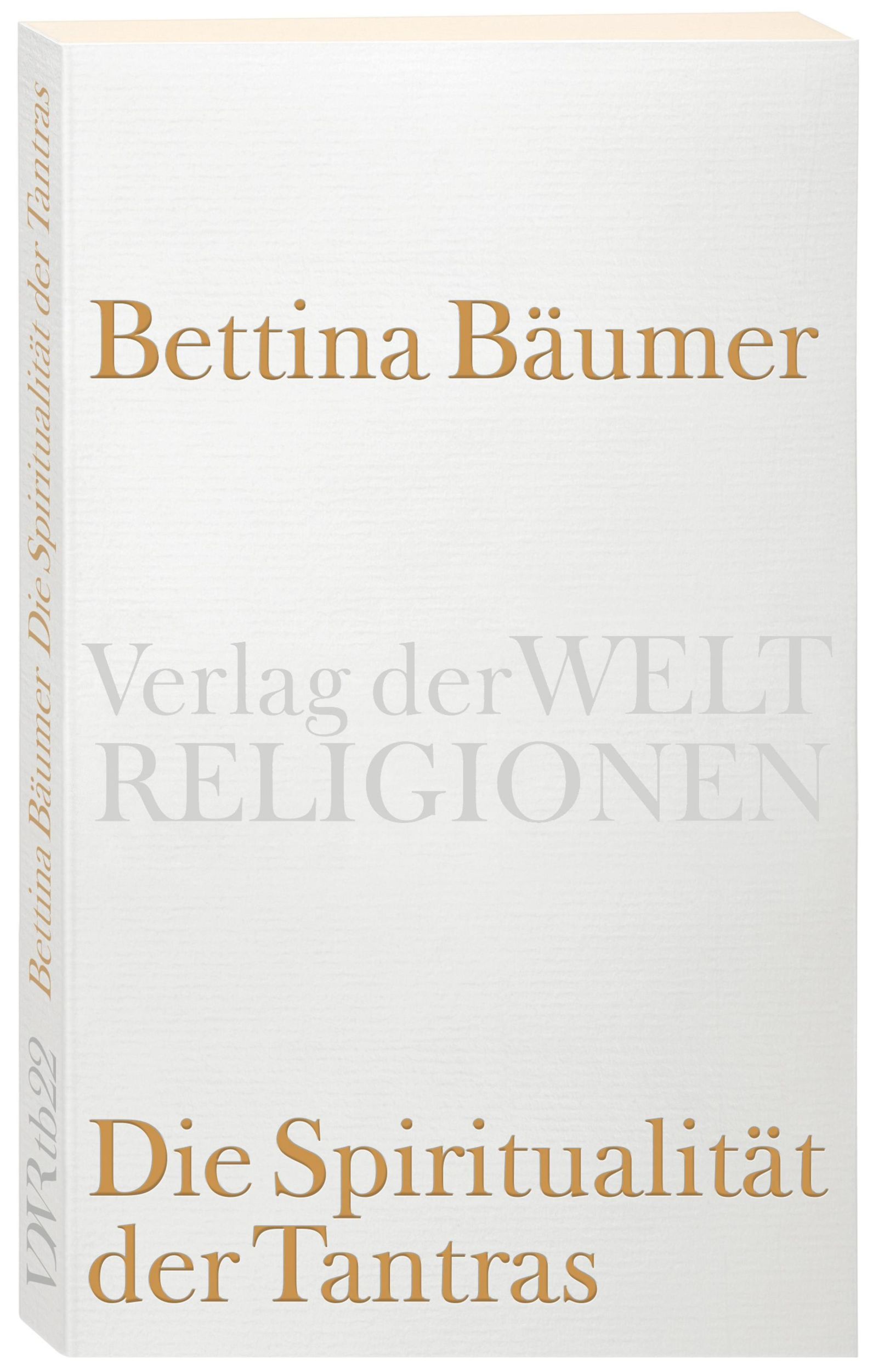 Cover: 9783458720225 | Die Spiritualität der Tantras | Abhinavagupta | Taschenbuch | 251 S.