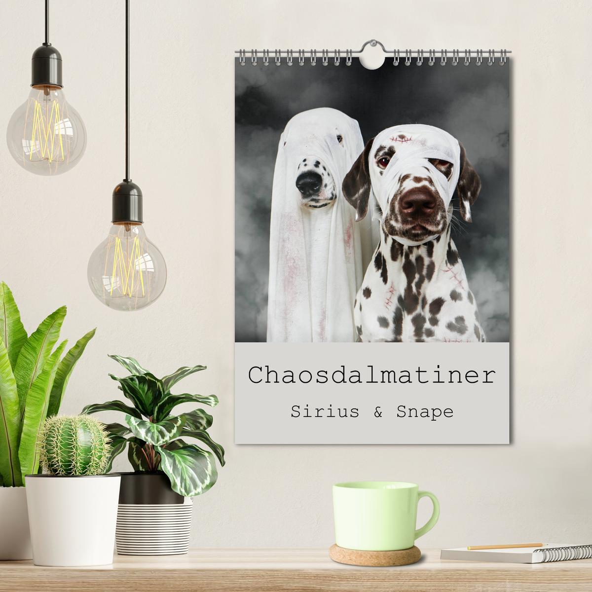 Bild: 9783435952403 | Chaosdalmatiner Sirius und Snape (Wandkalender 2025 DIN A4 hoch),...