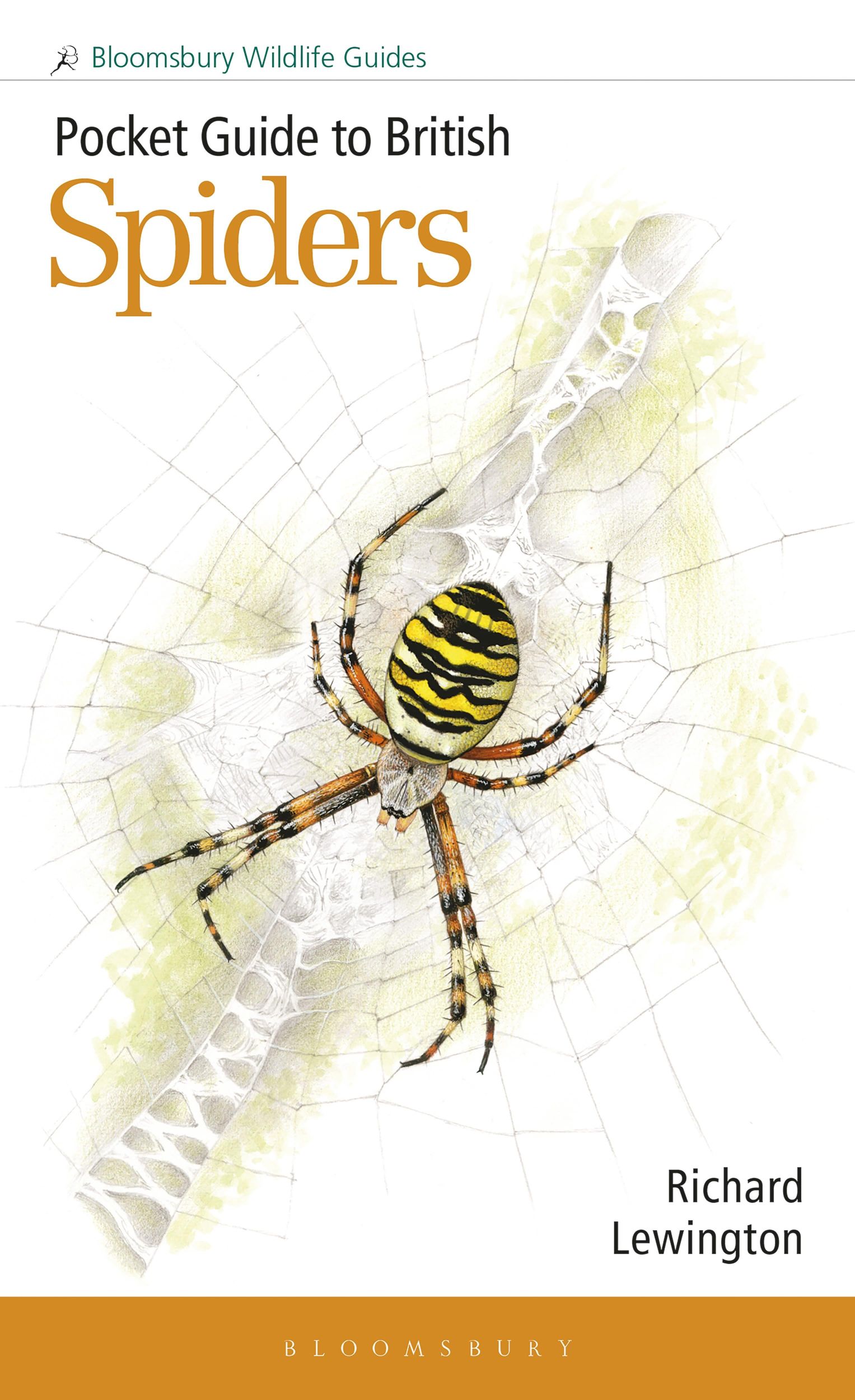 Cover: 9781399406987 | Pocket Guide to British Spiders | Richard Lewington | Taschenbuch