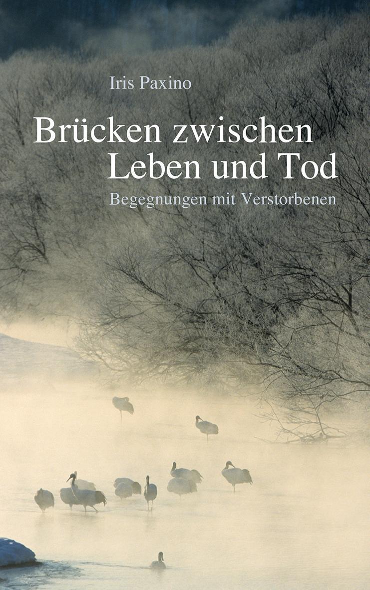 Cover: 9783772528828 | Brücken zwischen Leben und Tod | Begegnungen mit Verstorbenen | Paxino