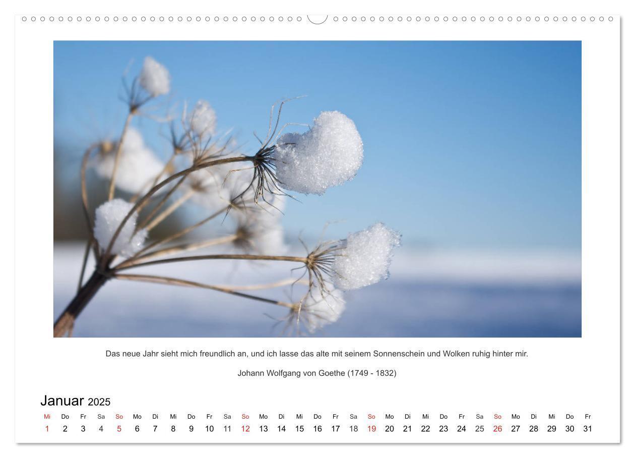 Bild: 9783435672882 | Der Naturkalender mit Zitaten und Sprüchen (Wandkalender 2025 DIN...