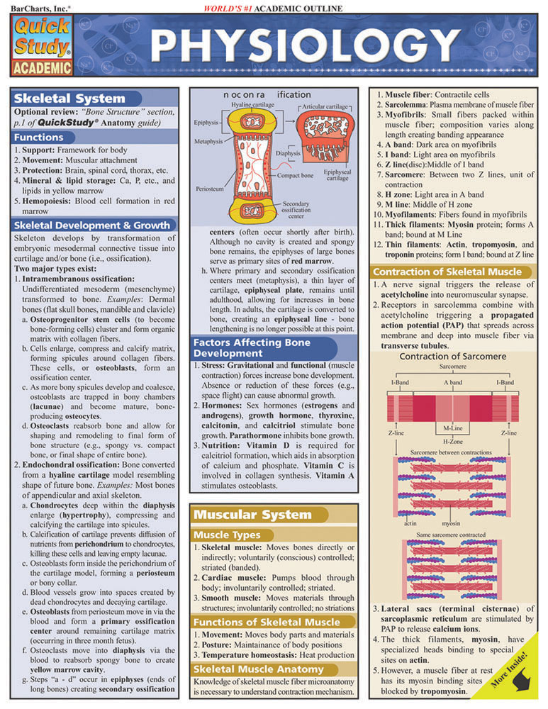 Cover: 9781572227910 | Physiology | W Randy Brooks | Buch | Fold-Out Book - Laminated | 2024