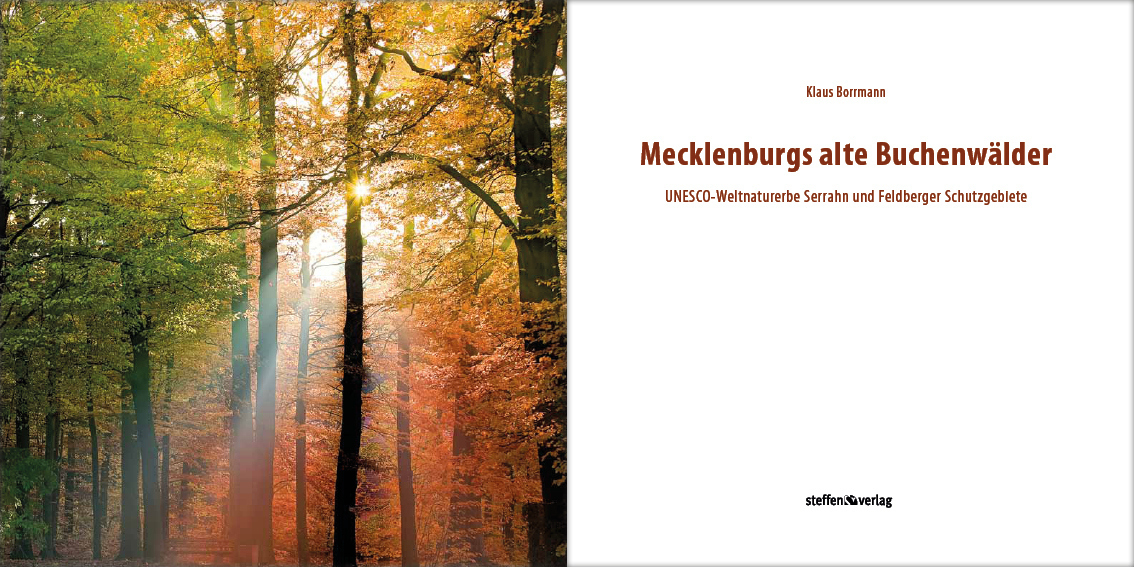 Bild: 9783942477185 | Mecklenburgs alte Buchenwälder | Klaus Borrmann | Buch | 2012