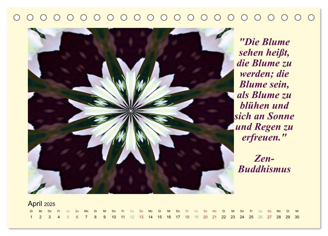 Bild: 9783435722341 | Meditation - Asiatische Weisheiten (Tischkalender 2025 DIN A5...