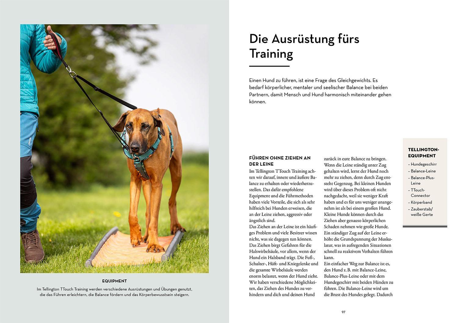 Bild: 9783440180402 | Tellington-Training für Hunde | Linda Tellington-Jones | Taschenbuch