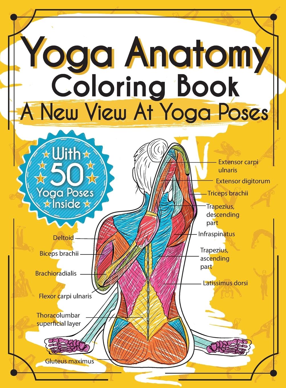 Cover: 9783969260036 | Yoga Anatomy Coloring Book | A New View At Yoga Poses | Rochester