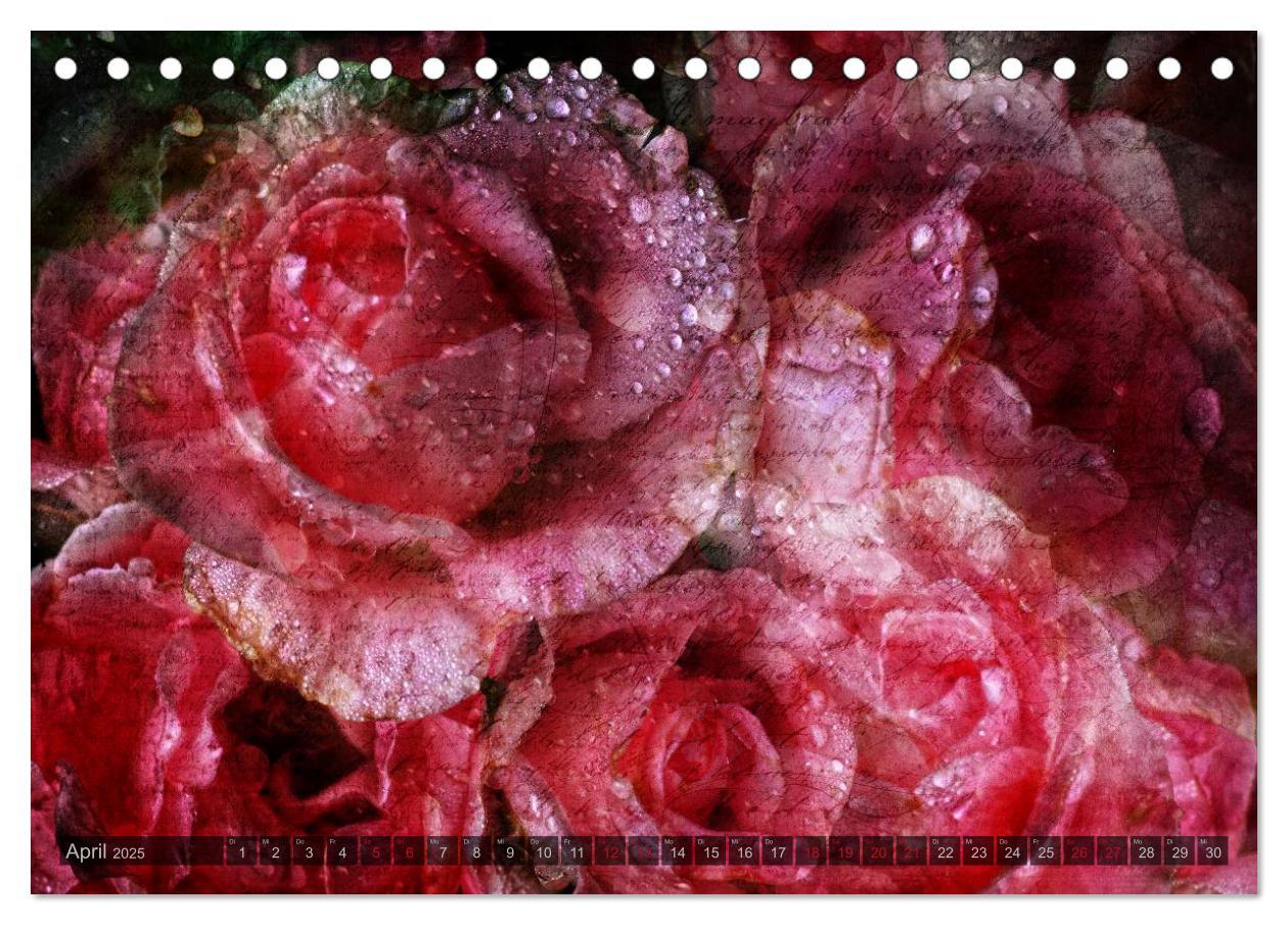 Bild: 9783435659104 | Gothic Rose - Rosen aus dem Garten der Finsternis (Tischkalender...