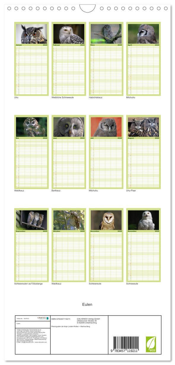 Bild: 9783457119211 | Familienplaner 2025 - Eulen mit 5 Spalten (Wandkalender, 21 x 45...