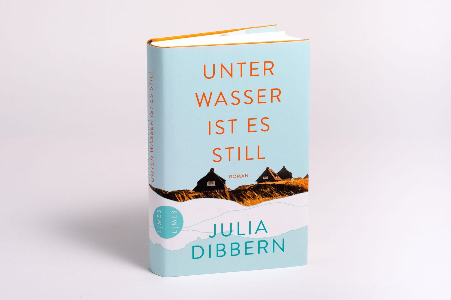 Bild: 9783809027775 | Unter Wasser ist es still | Roman | Julia Dibbern | Buch | 384 S.