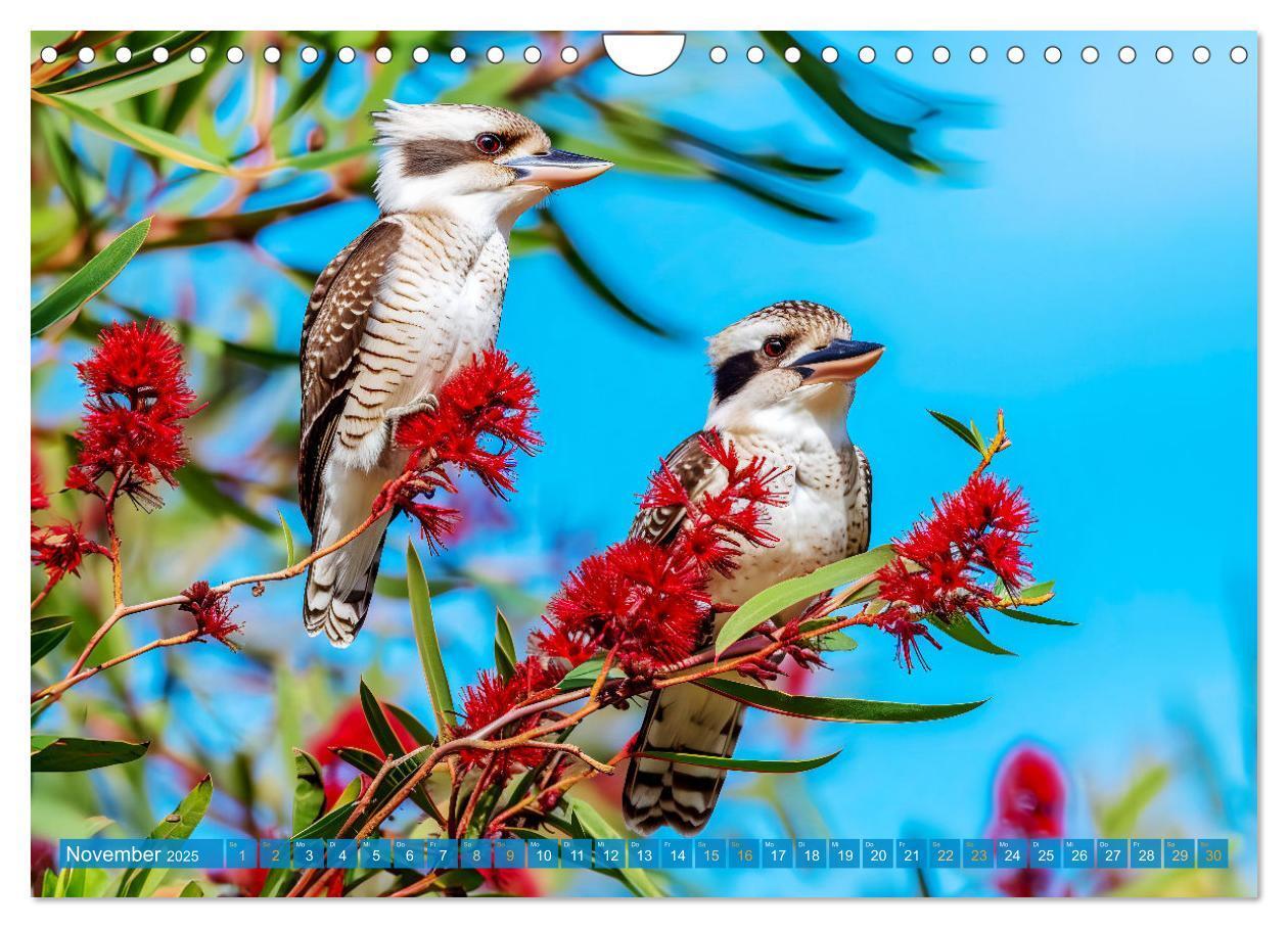 Bild: 9783383777875 | Der Kookaburra - Im australischen Busch mit dem lachenden Hans...