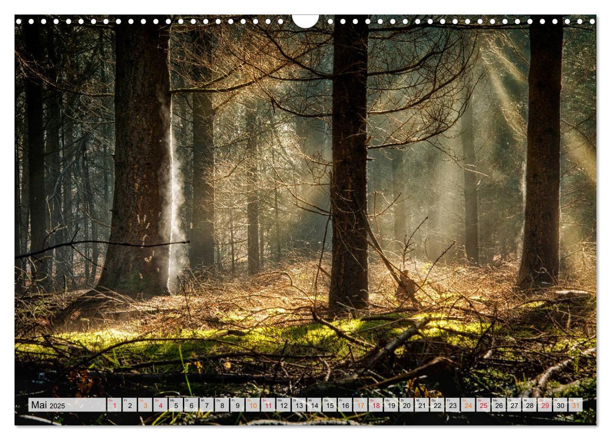 Bild: 9783435071623 | Wald - mystische Spaziergänge (Wandkalender 2025 DIN A3 quer),...