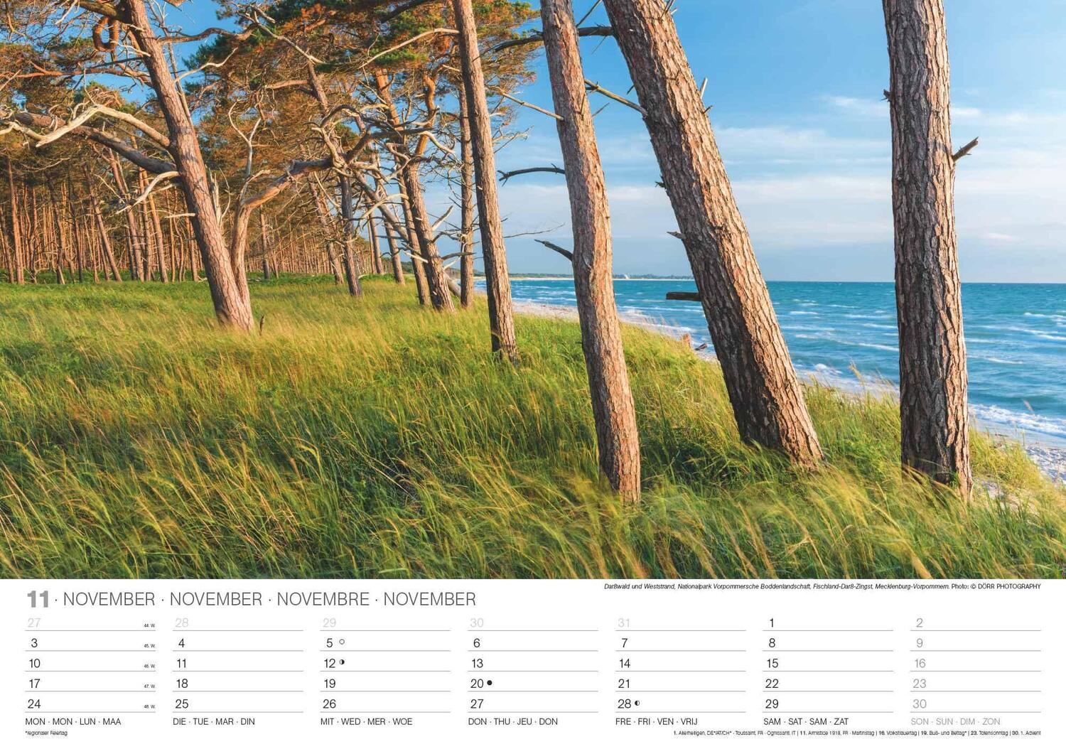 Bild: 4002725994264 | Malerische Ostseeküste 2025 - Wand-Kalender - 42x29,7 - Meer | Neumann