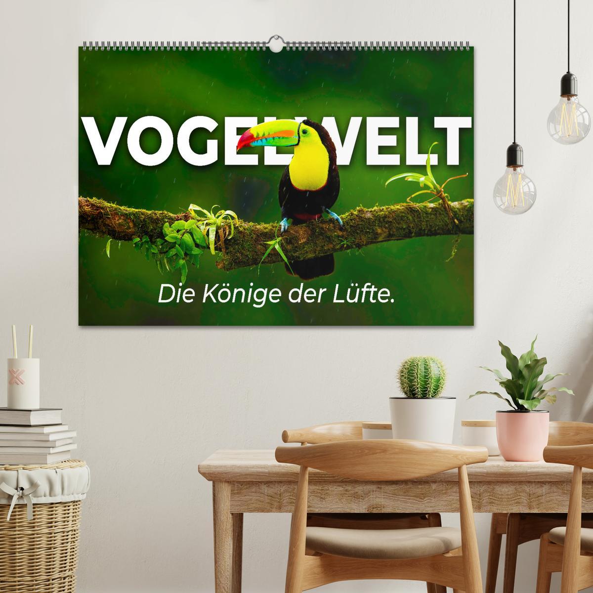 Bild: 9783435040766 | Vogelwelt - Die Könige der Lüfte. (Wandkalender 2025 DIN A2 quer),...