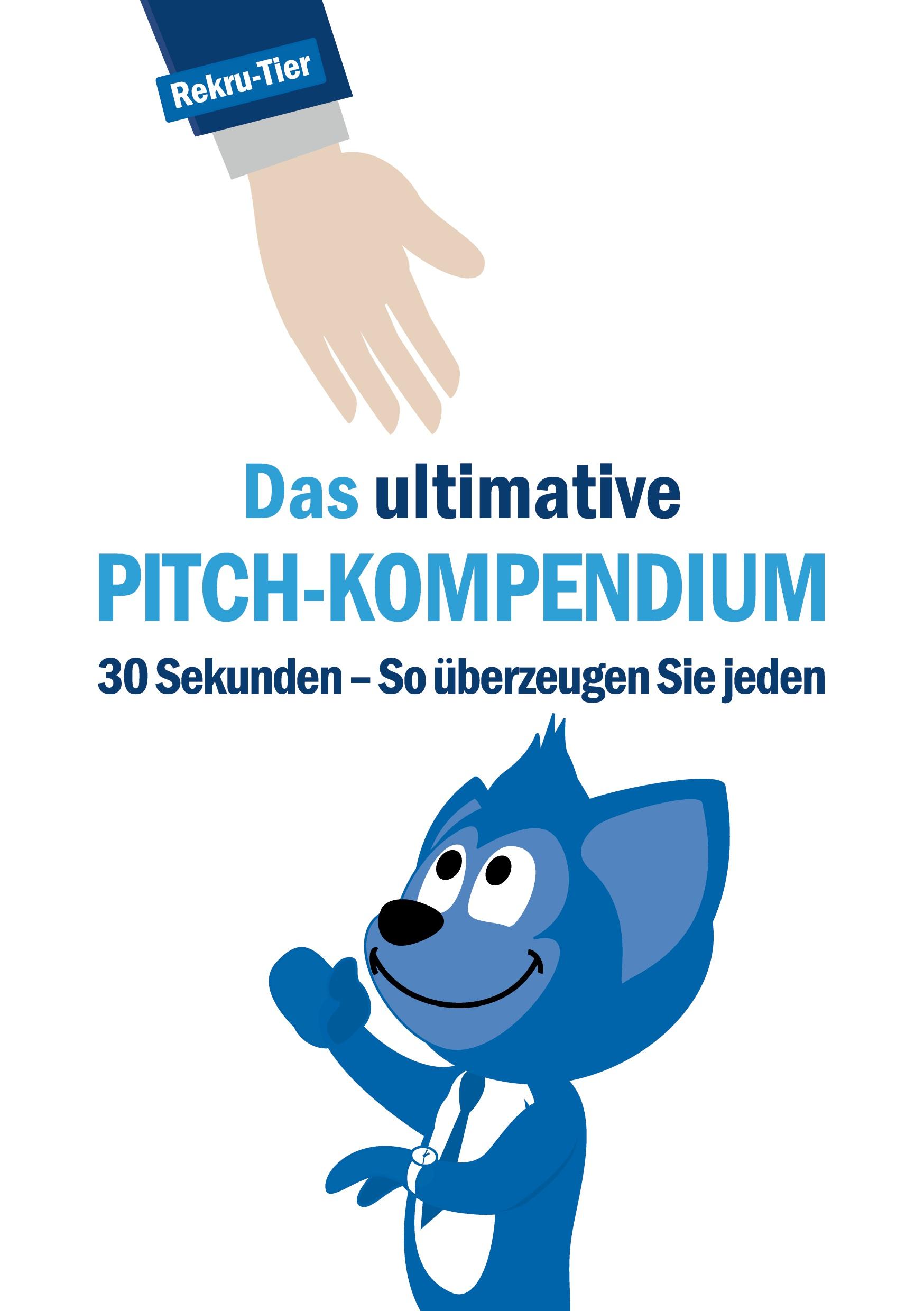 Cover: 9783941412620 | Das ultimative Pitch-Kompendium | Tobias Schlosser | Taschenbuch