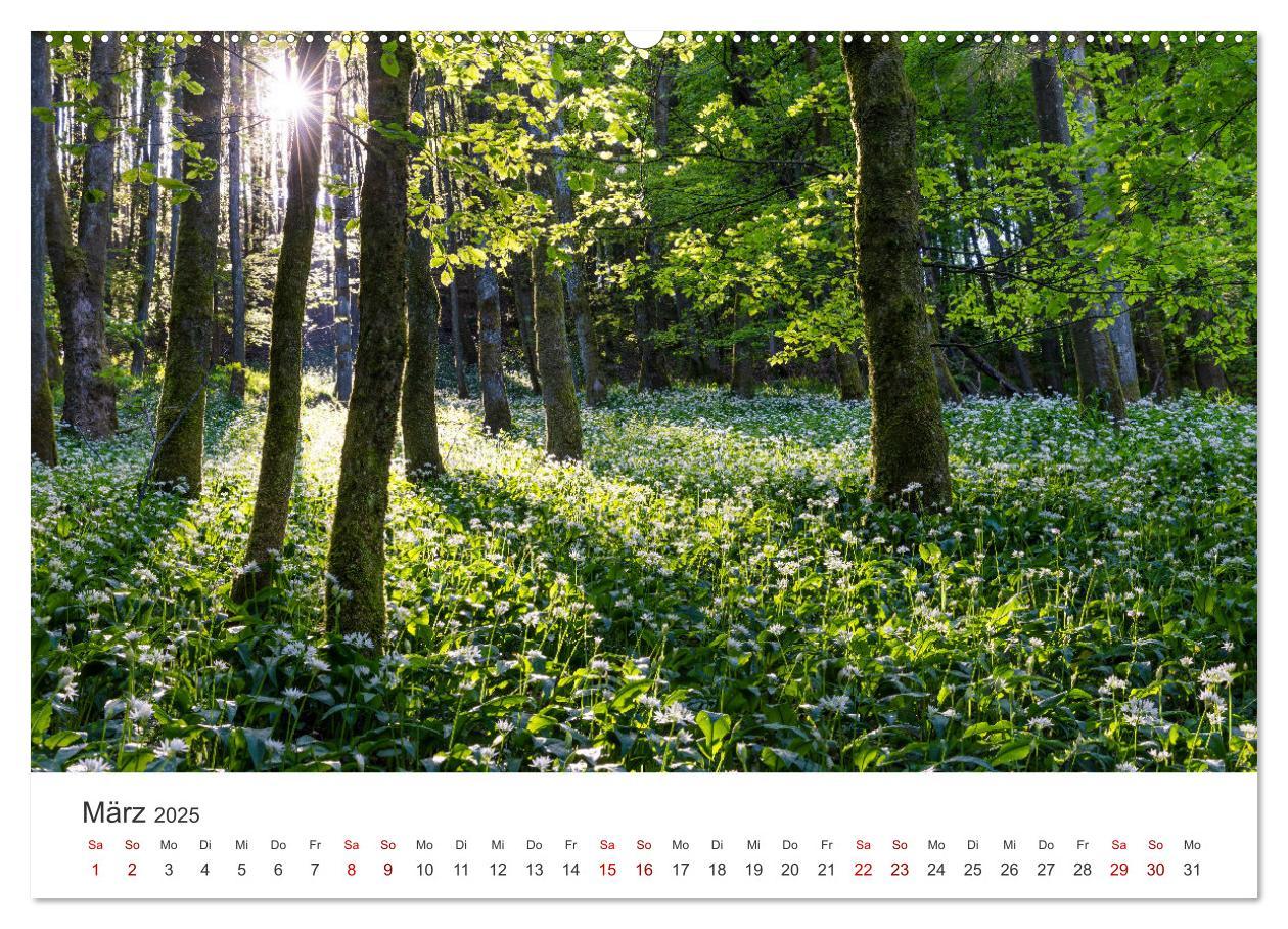 Bild: 9783457235522 | Sauerland - hier muss man mal gewesen sein (Wandkalender 2025 DIN...