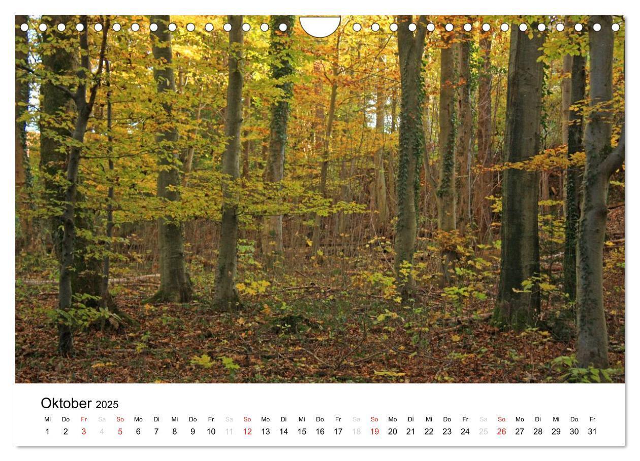 Bild: 9783435602643 | Der Ebersberger Forst und seine Umgebung (Wandkalender 2025 DIN A4...