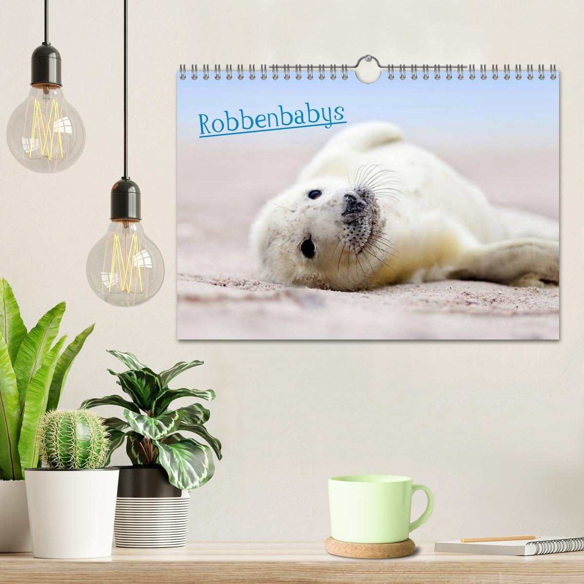 Bild: 9783435803651 | Robbenbabys (Wandkalender 2025 DIN A4 quer), CALVENDO Monatskalender